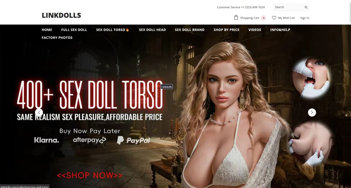 Link Dolls homepage (linkdolls.com) - independent vendor review and score