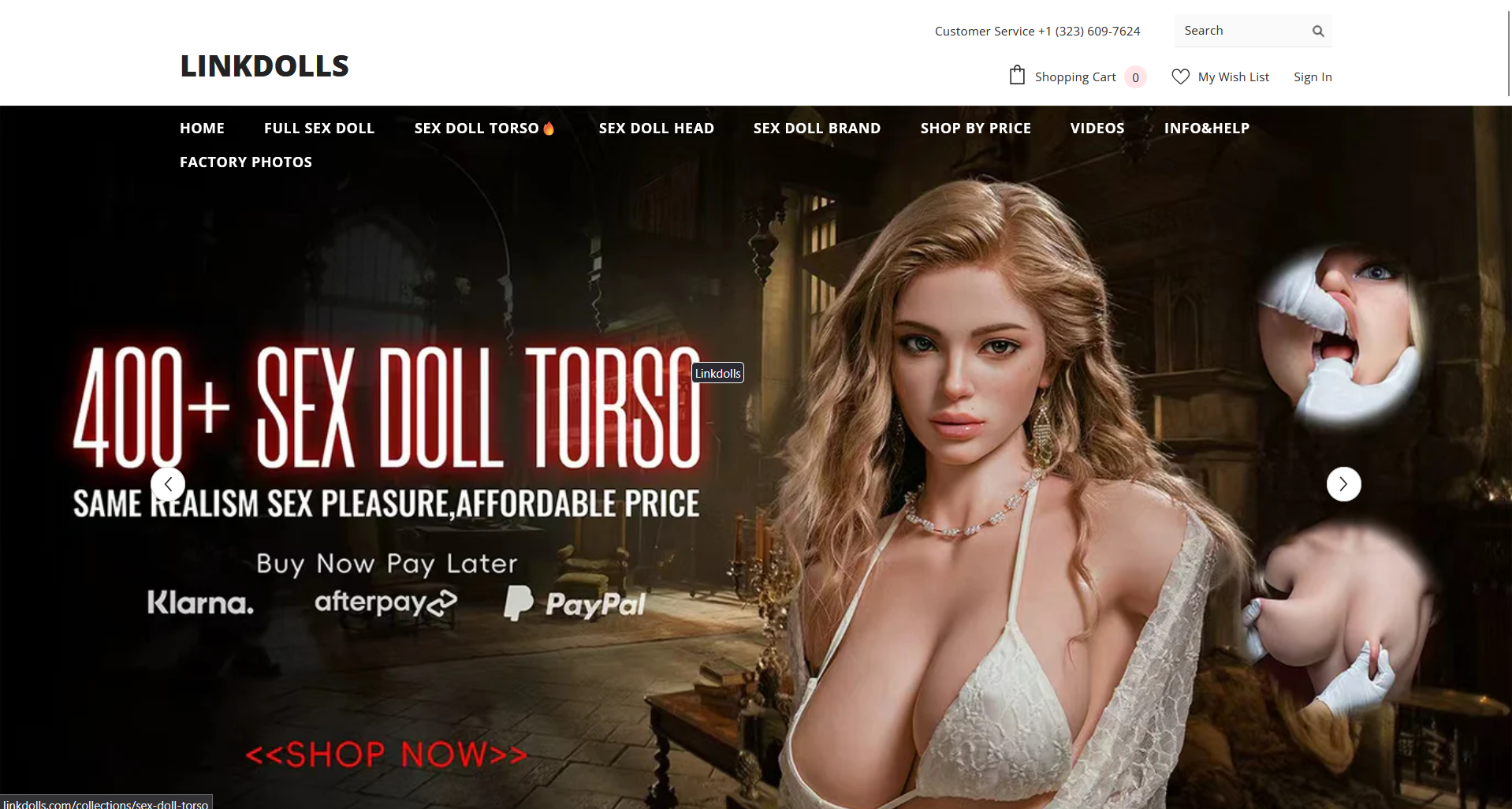 Link Dolls homepage (linkdolls.com) - independent vendor review and score