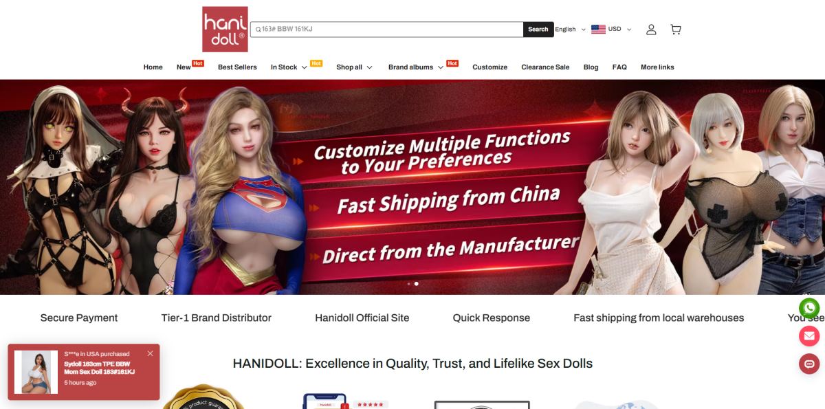 Hanidoll homepage (hanidoll.com) - independent vendor review and score